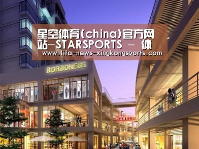 案例展示一