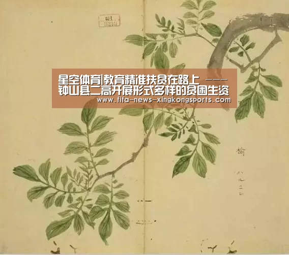 星空体育官网