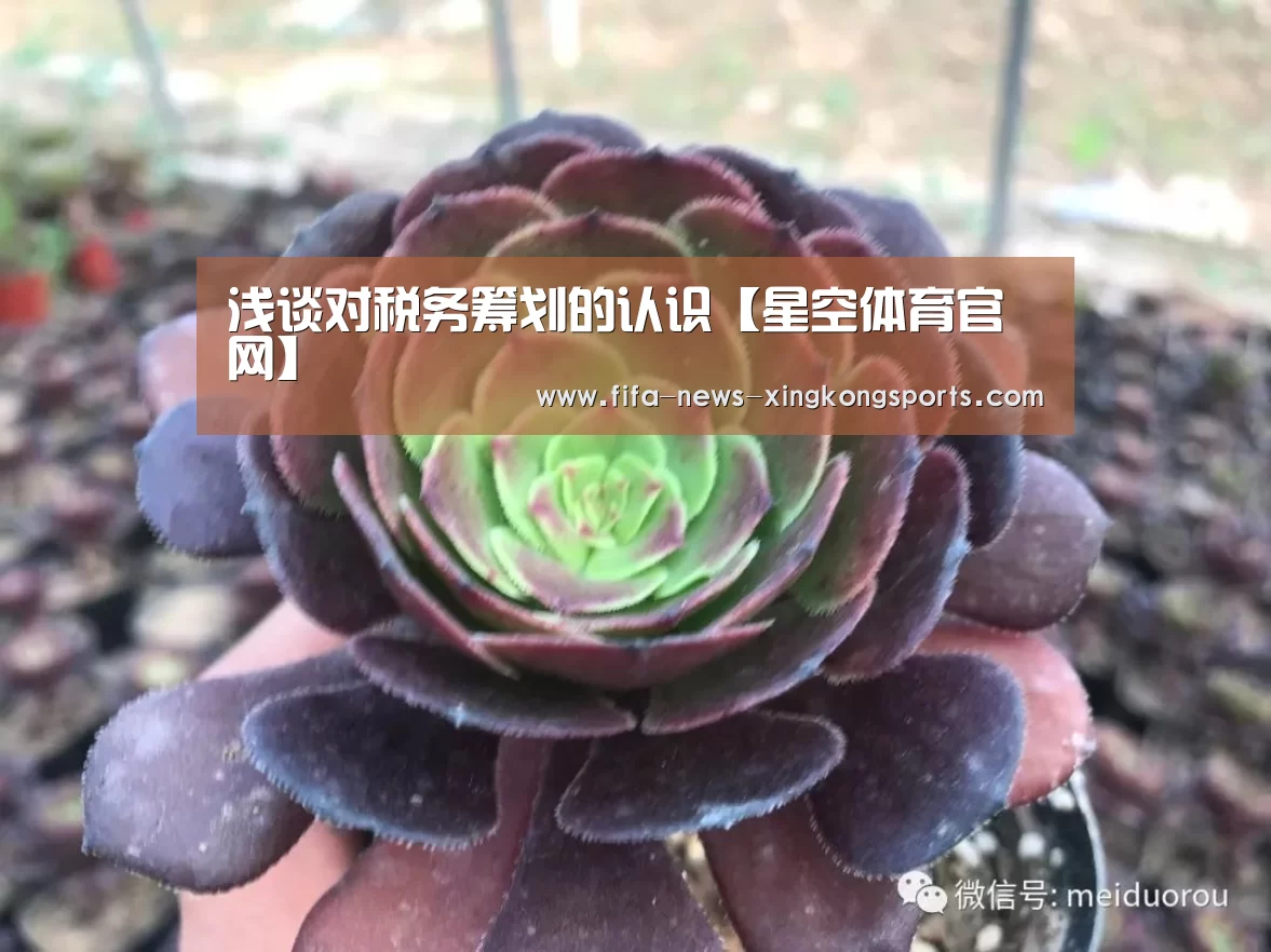 星空体育