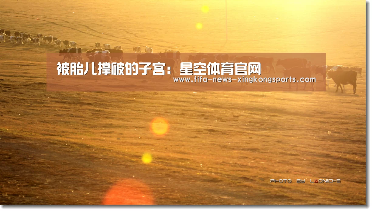 被胎儿撑破的子宫:星空体育官网(图3) 星空体育官网入口