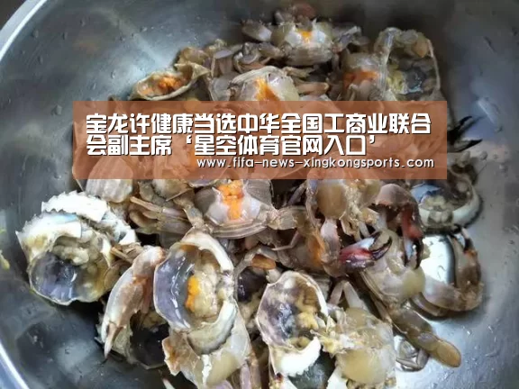 宝龙许健康当选中华全国工商业联合会副主席‘星空体育官网入口’(图3) 星空体育官网