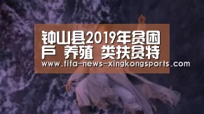 星空体育官网入口