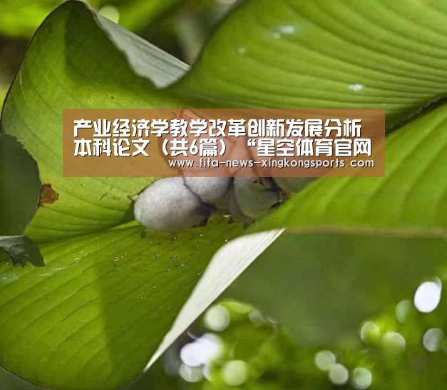 星空体育中国