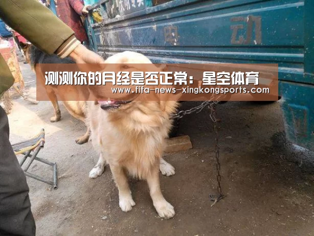 星空体育官网
