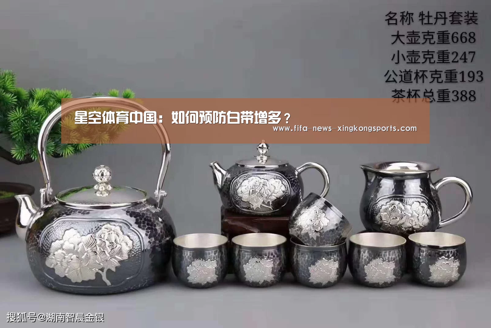 星空体育官网入口